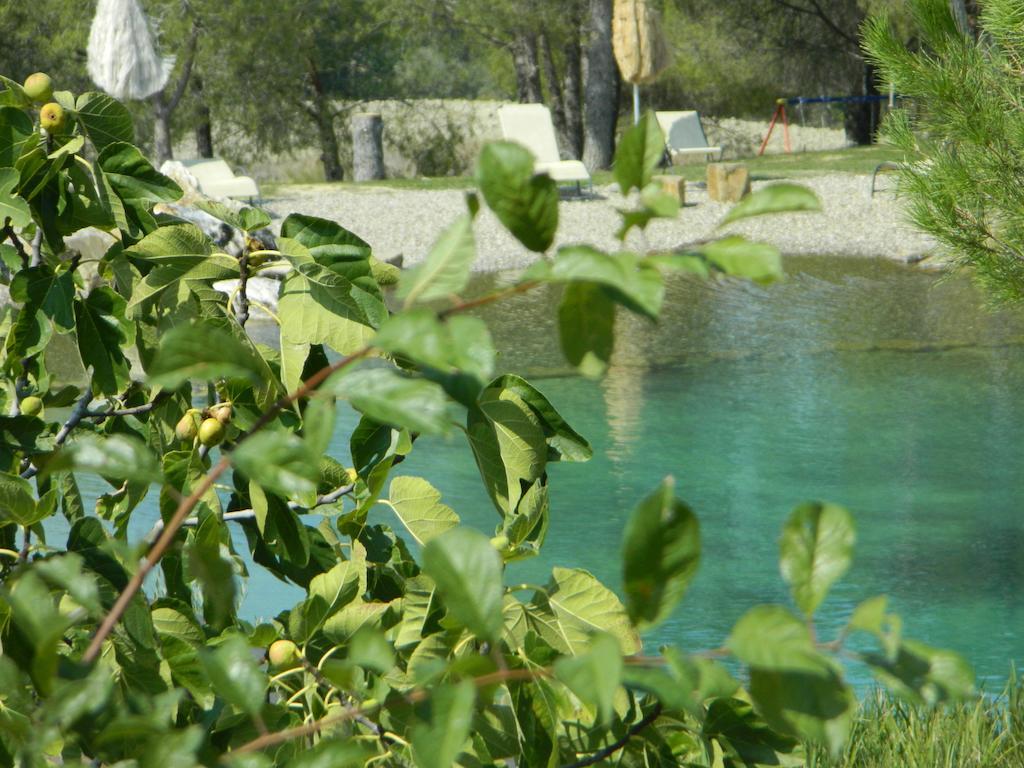 פיינצה Agriturismo Palazzo Conti A מראה חיצוני תמונה