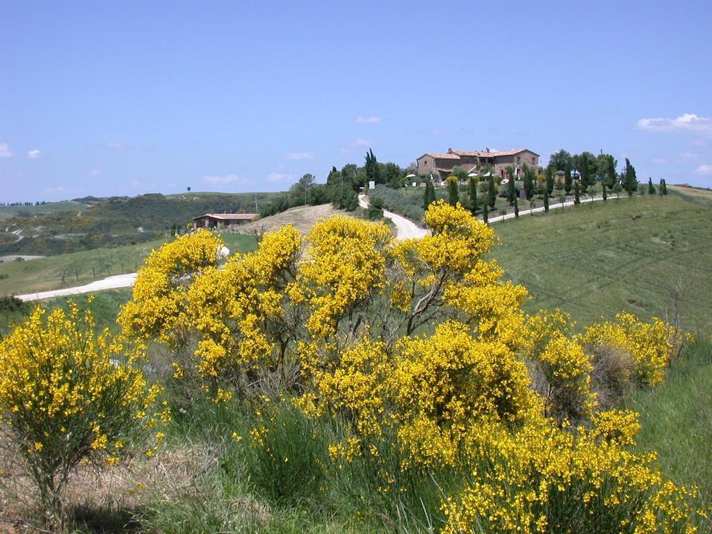 פיינצה Agriturismo Palazzo Conti A מראה חיצוני תמונה