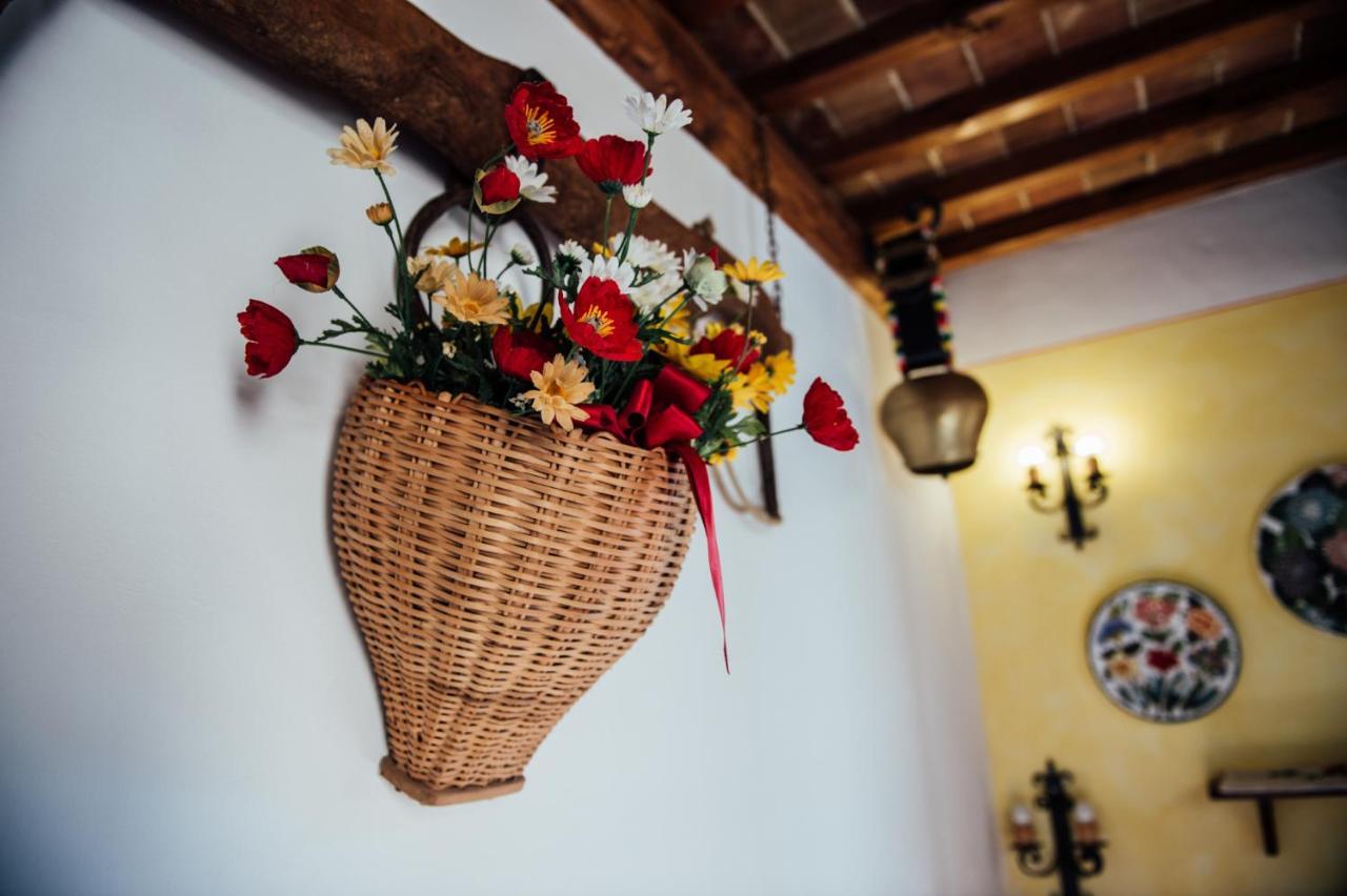פיינצה Agriturismo Palazzo Conti A מראה חיצוני תמונה