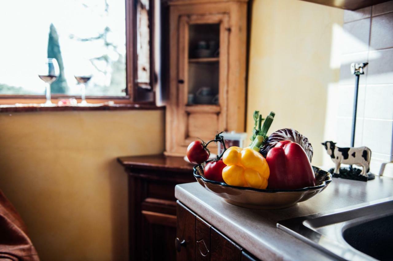 פיינצה Agriturismo Palazzo Conti A מראה חיצוני תמונה